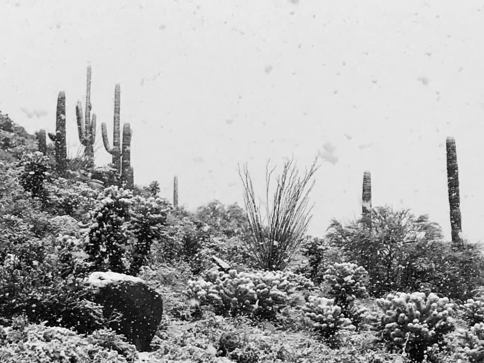 Snow in Tucson